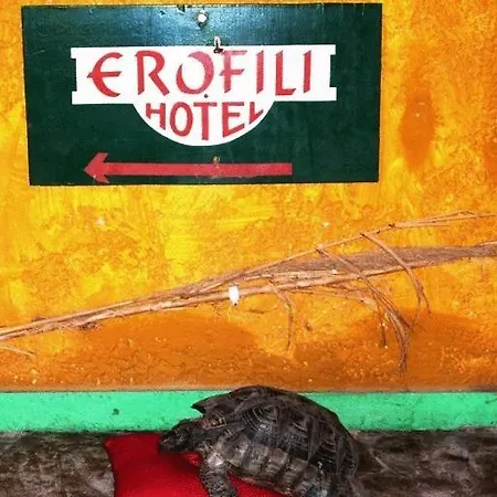 Erofili Διαμέρισμα